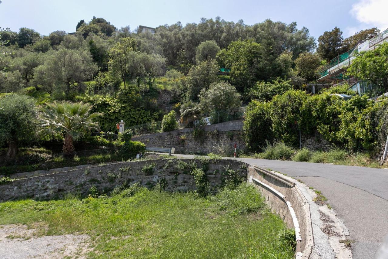 Strada Degli Olandesi - Panoramic Villa By Halldis Camporosso  Esterno foto